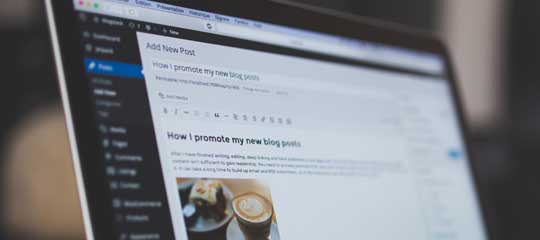 Search Engine Optimization Services