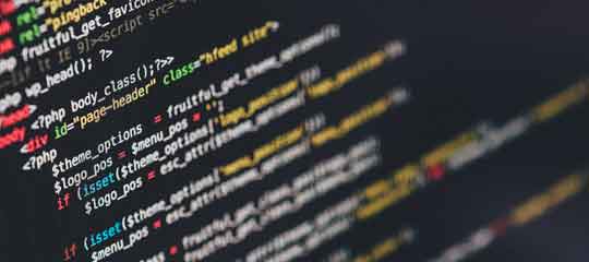 Website Design & Development Services